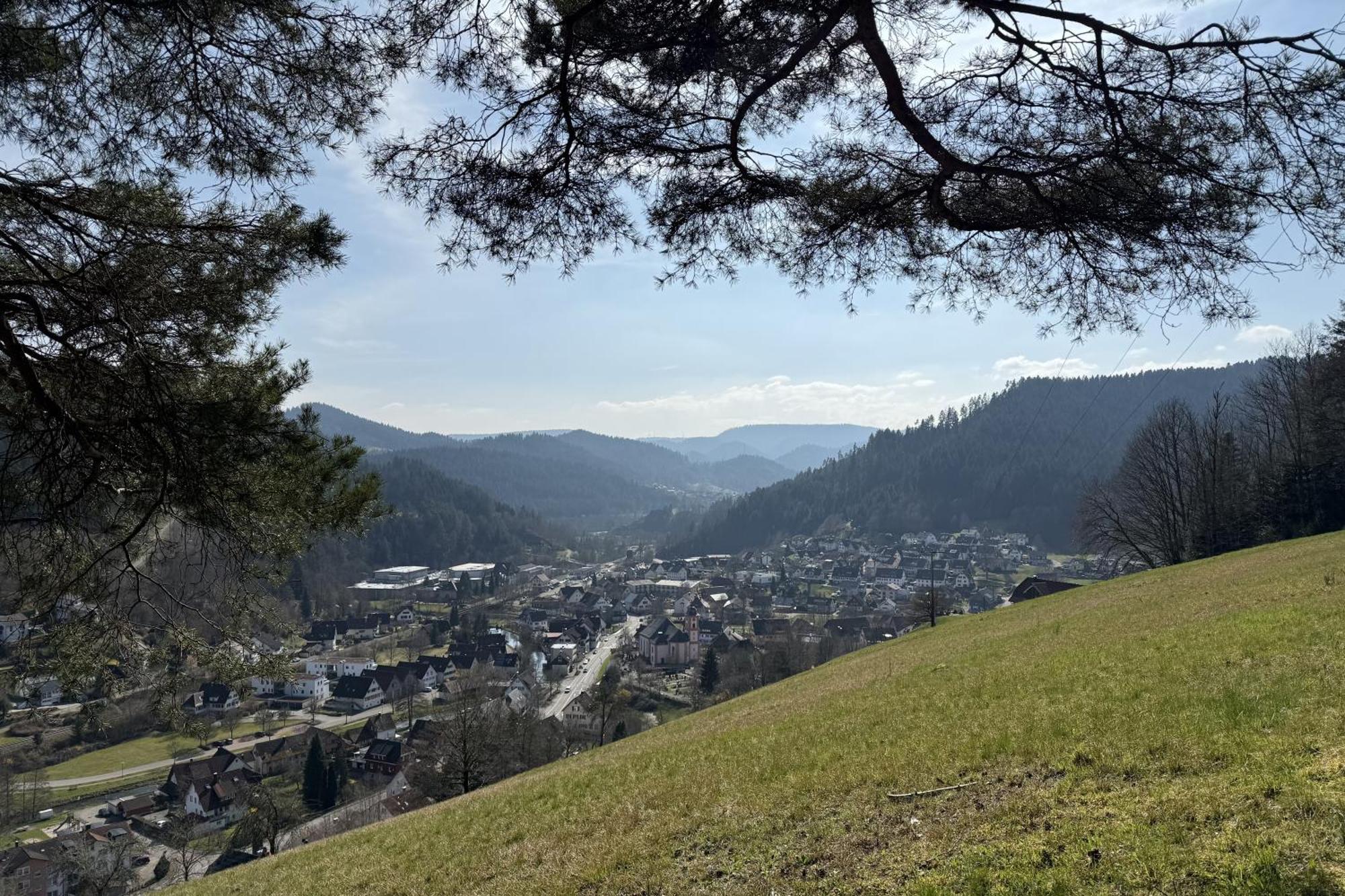 Schwarzwald Blockhaus - Sauna - Kamin - Mit Bettwaesche Und Handtuecher Schenkenzell Exteriér fotografie